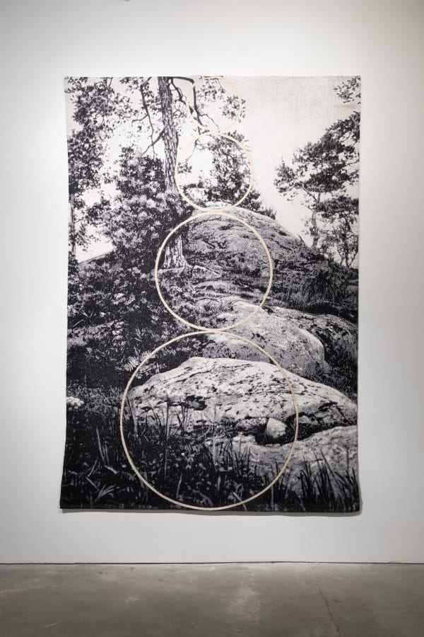 Claudia Wieser, Untitled, 2013