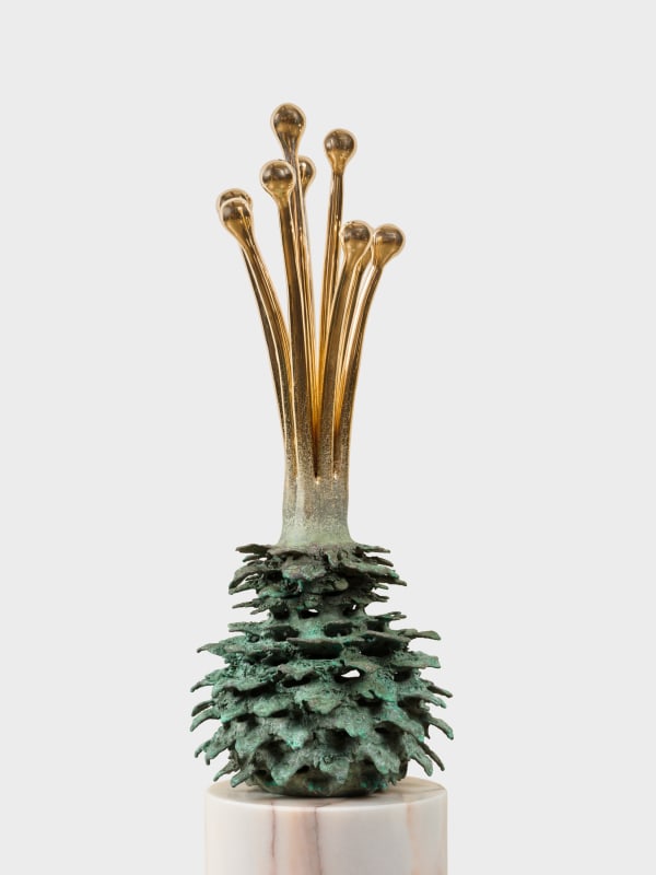 The Haas Brothers, Ball Giamatti, 2024