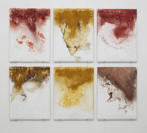 Thiago Rocha Pitta, Temporal maps of a non sedimented land, 2015