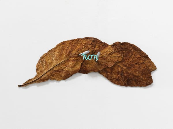 Pier Paolo Calzolari, Non (studio per grande opera "Non"), 1969-1970