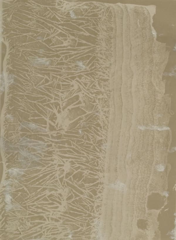 Fotogram av kristallisationee