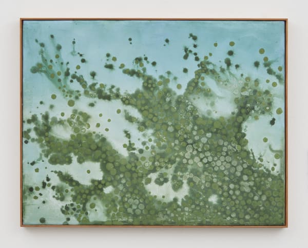 seascape with cyanobacteria
