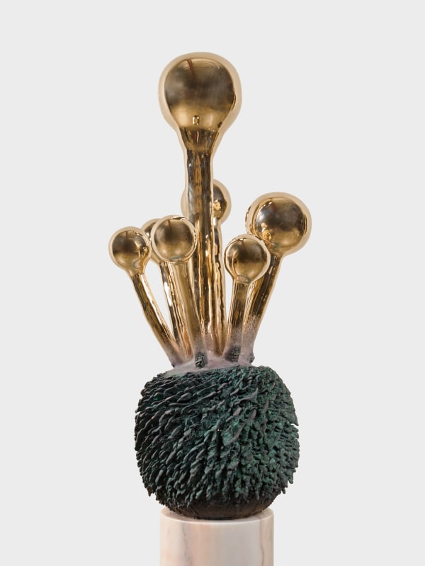 The Haas Brothers, Ball E. Shore, 2024