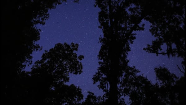 Celestine (Florida Storm)