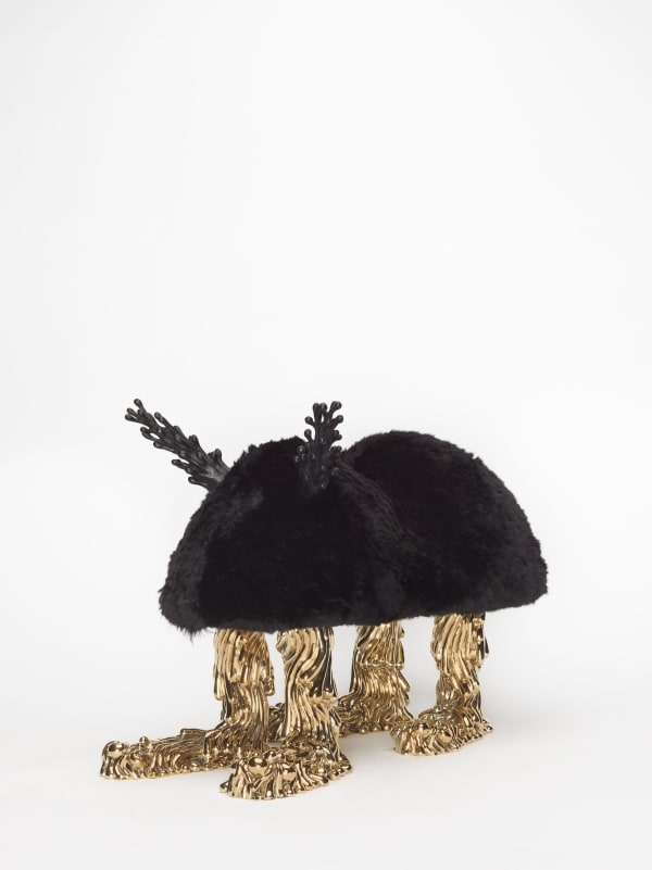 The Haas Brothers, Humpy Bogart, 2019