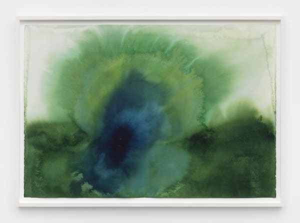 the lake at the eye of narcissus