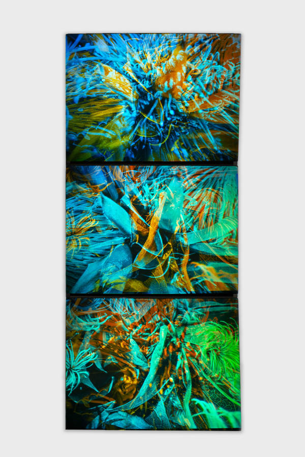 Sarah Meyohas Interference #11, 2022 Holograms 36 x 16 x 2 1/2 inches 91.4 x 40.6 x 6.3 cm