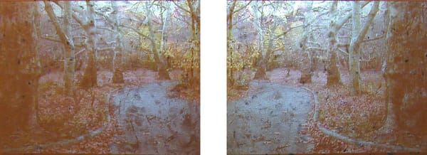 Gold / Tupelo Plains