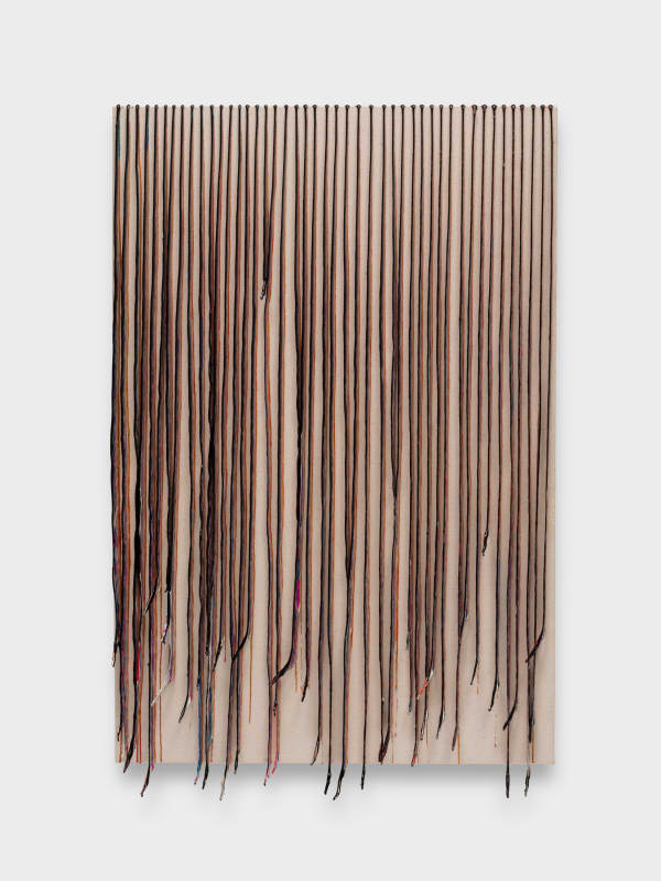 The Haas Brothers, Wind, 2024