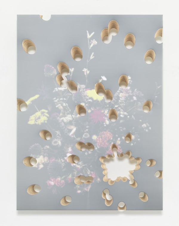 Lot 081716 (flowers shot)