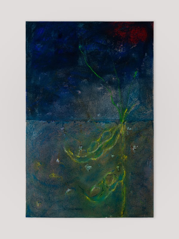 Pier Paolo Calzolari, Pantano grande / Great quagmire, 2019