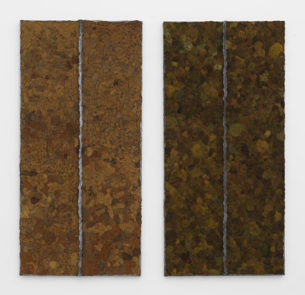 Pier Paolo Calzolari, Moss (diptych), 1979-1991