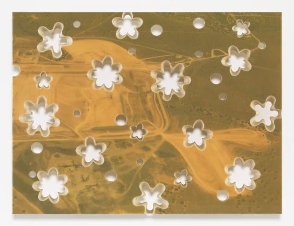 Lot 082516 (excavation)