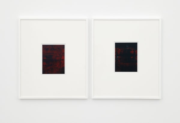 Anthony Pearson (Online)