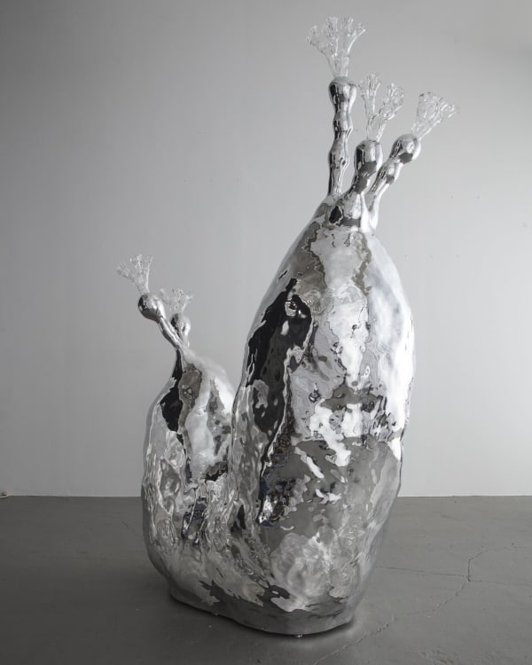 The Haas Brothers, Large Socatra, 2017