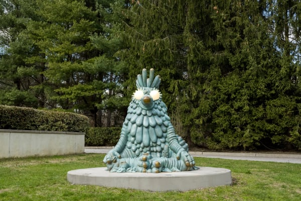 The Haas Brothers, Jungle Fool, 2022