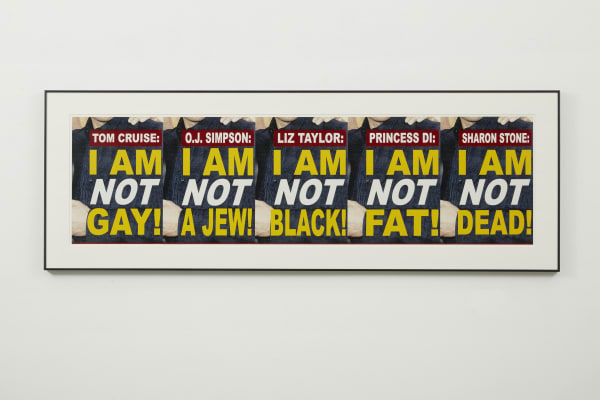 John Waters, I Am Not, 2006