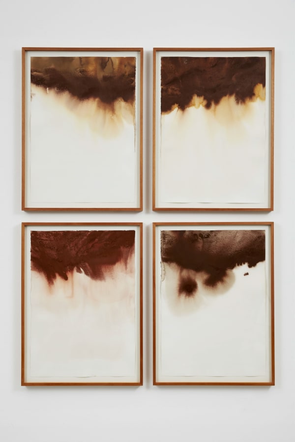 Thiago Rocha Pitta, Unsedimented Maps, 2012