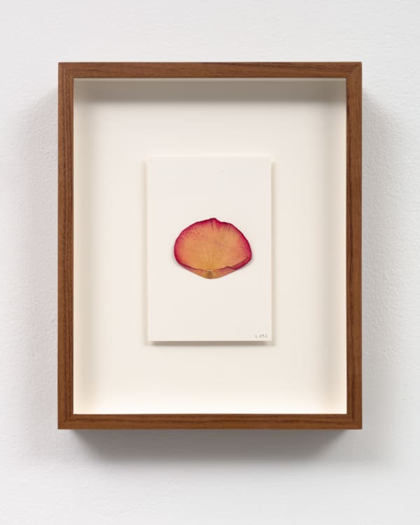 Sarah Meyohas, Bitchcoin #3.052 , 2015–2021