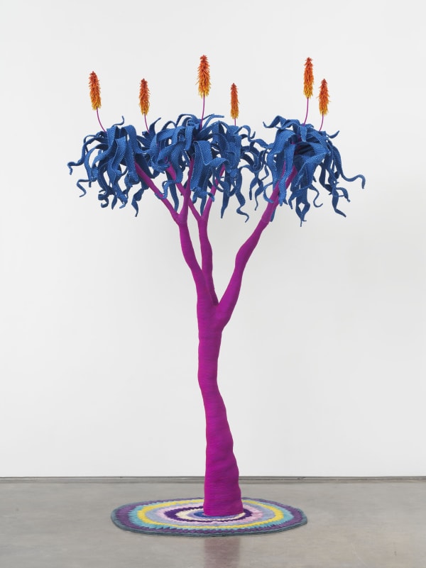 How Do I Get You Aloe?