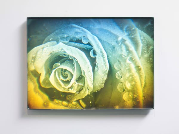 Sarah Meyohas, Interference #3, 2021