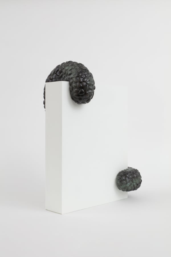 Adeline de Monseignat, Peekaboo, 2025