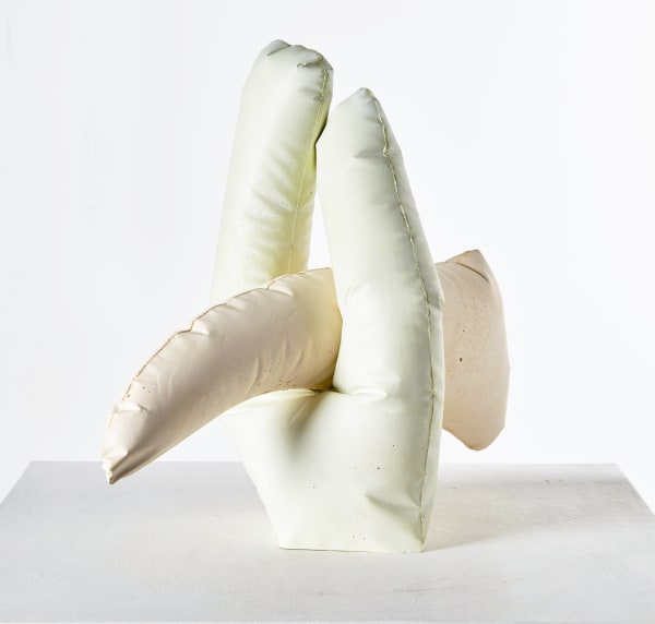 Des Hughes, A Rush and A Push, 2016