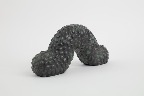 Adeline de Monseignat, Gusano, 2025