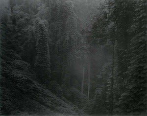 Sally Mann Untitled (Virginia), 1996