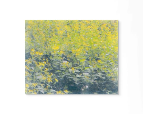 Peter Cochrane, Year One, Summer, 2020