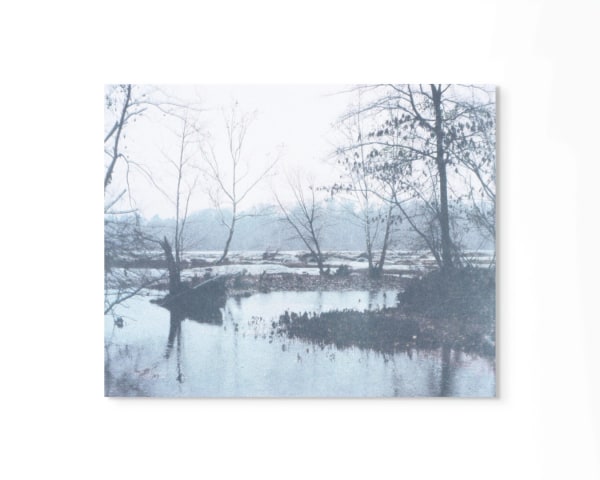 Peter Cochrane, Year One, Winter, 2020