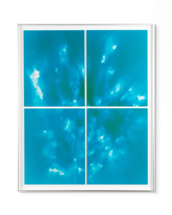 Peter Cochrane, Burned Rose - Four Panels (Blue), 2024