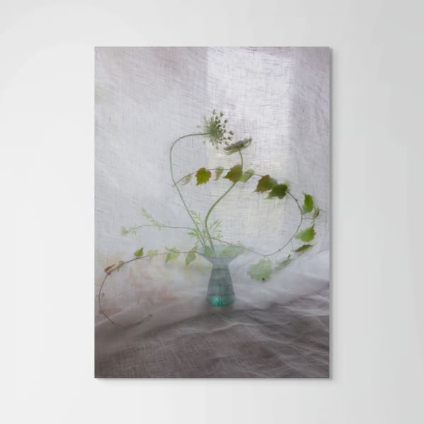Pam Fox Vines, 2024