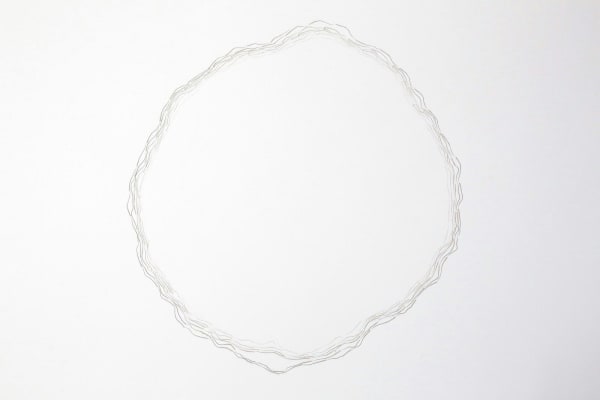 Hillary Waters Fayle Gull, 2016