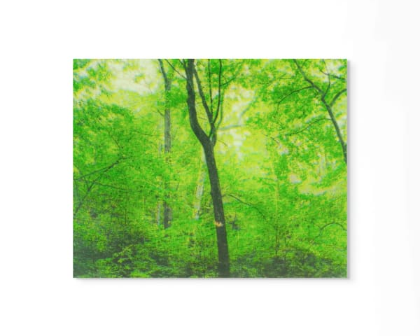 Peter Cochrane, Year Two, Summer, 2021