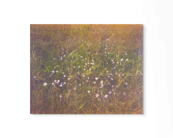 Peter Cochrane, Year One, Spring, 2020