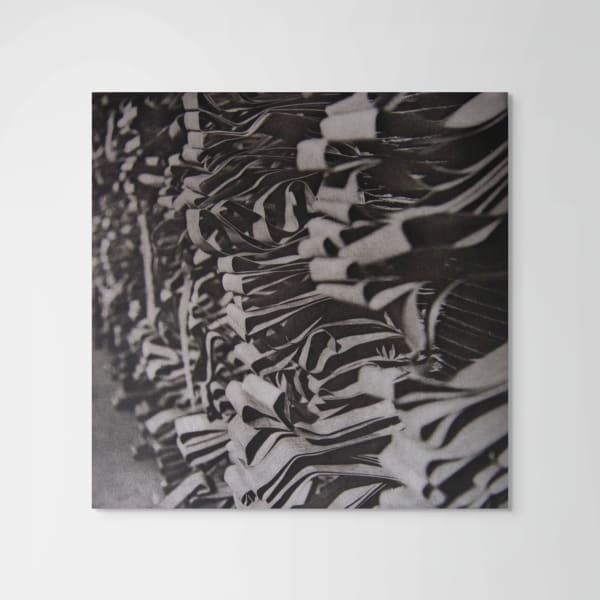 Angela Franks Wells, Tabs, 2023