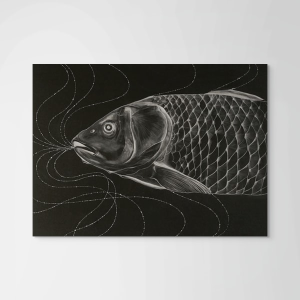 Kazaan Viveiros, Reverse Carp, 2011