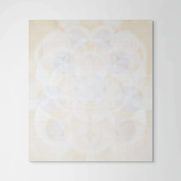 Mira Hecht, Intangible Veil / Vibrance