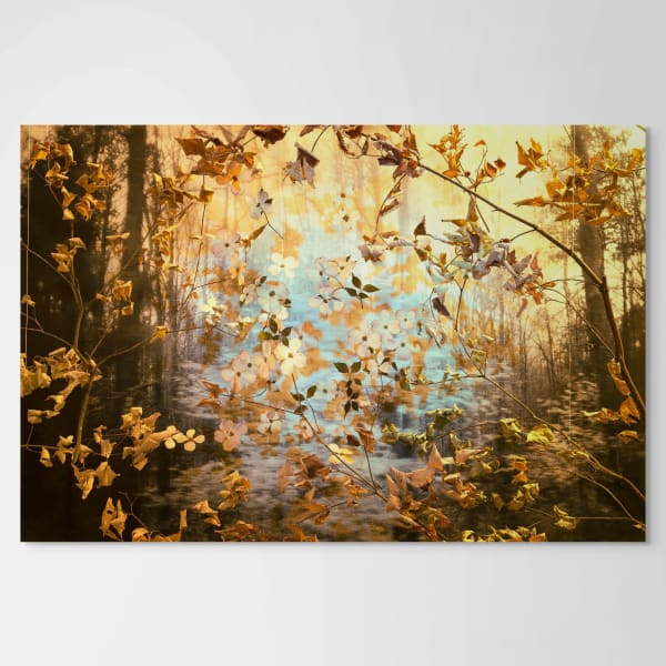 Peter Cochrane, The State Flower of Virginia is Actually a Tree, 2024