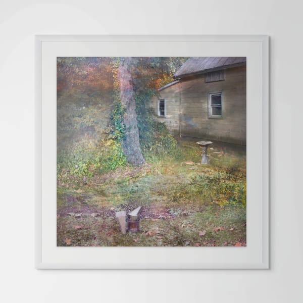David Douglas, Study, The Secret Place, 2023