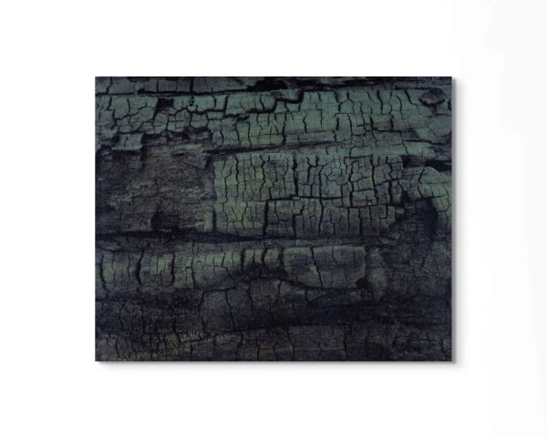 Peter Cochrane, Year Four, Winter, 2023