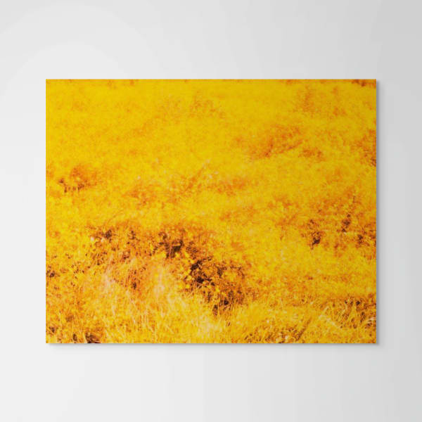 Peter Cochrane, Year Four, Summer, 2023