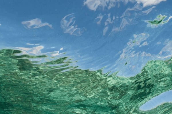 Penny Ashford, Reef Reflection 1