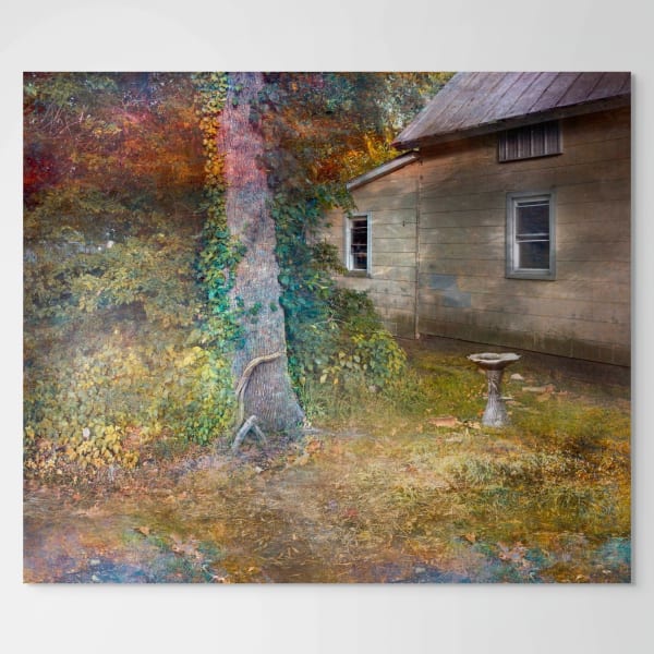 David Douglas, The Secret Place , 2024