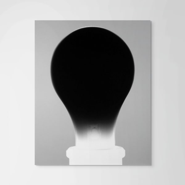 Amanda Means, Light Bulb 20, 2001