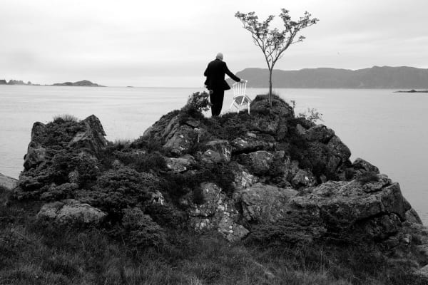 Holly Morrison Untitled (Tree)