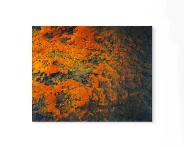 Peter Cochrane Year One, Fall, 2020