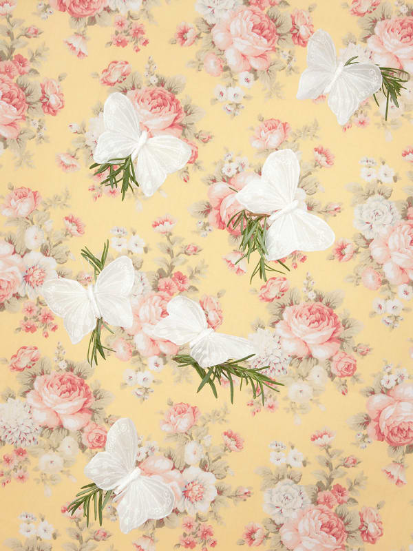 Kally Malcom Sundays with Arlon