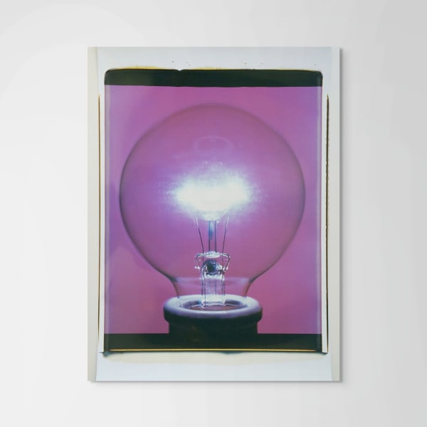 Amanda Means Polaroid Light Bulb 2, 2016
